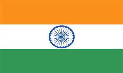 hindistan vizesi basvurusu islemleri bilgi