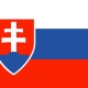 slovakya vizesi basvurusu islemleri bilgi